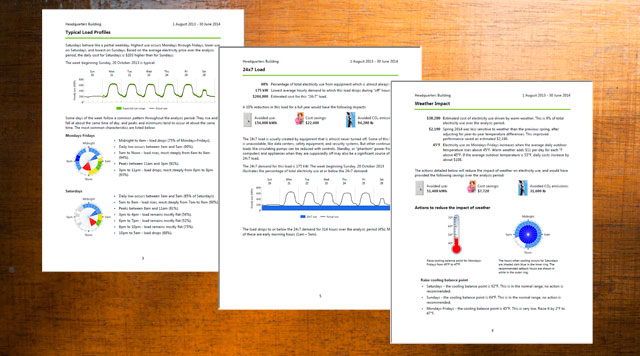 EnergyAi Meter Insights Report